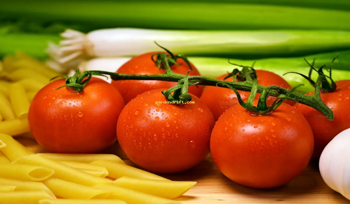 10 Simple Tips to Grow Juicy Tomatoes at Home: A Beginner's Guide