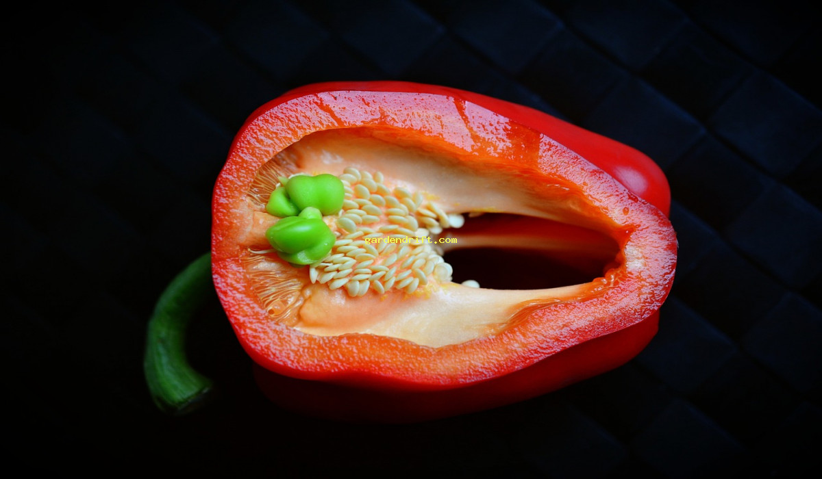 5 Tips for Growing Perfect Pepper Seeds: A Beginner's Guide