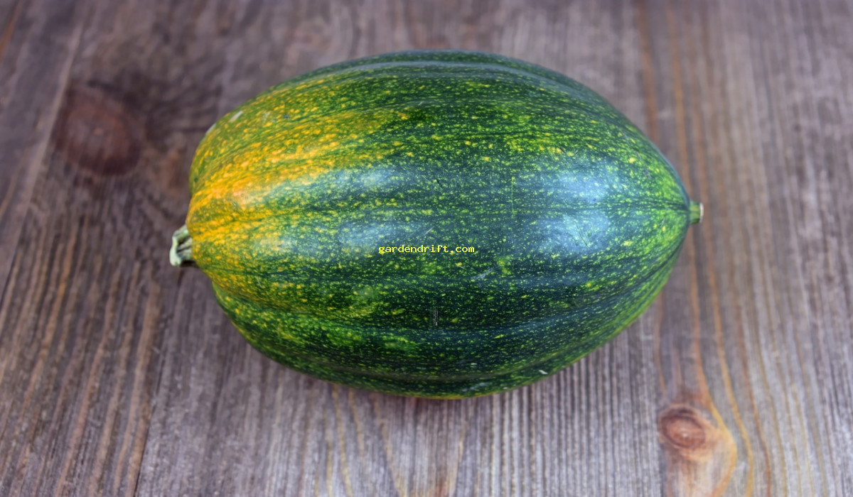 Boost Your Winter Garden: 10 Must-Have Companion Plants for Winter Squash