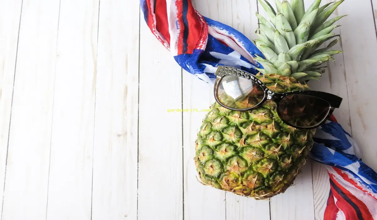 10 Reasons Why You Should Include Pineapple in Your Flag Design