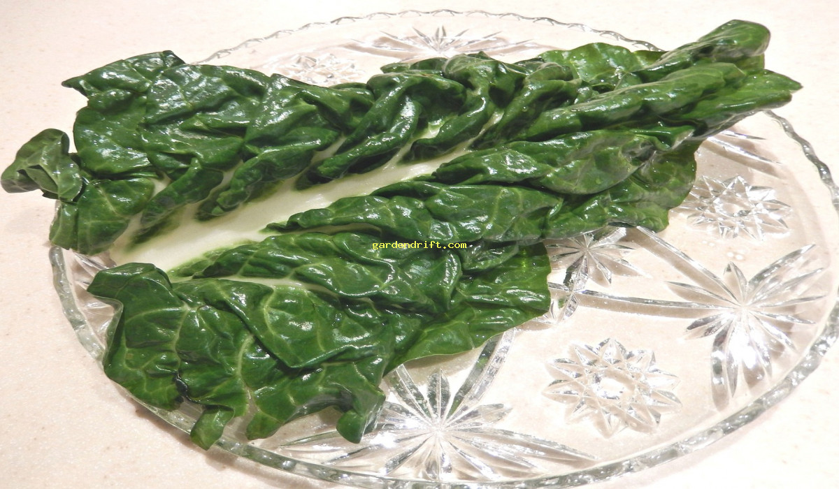 Discover the Perfect Tagalog Term for Swiss Chard: Your Complete Guide!
