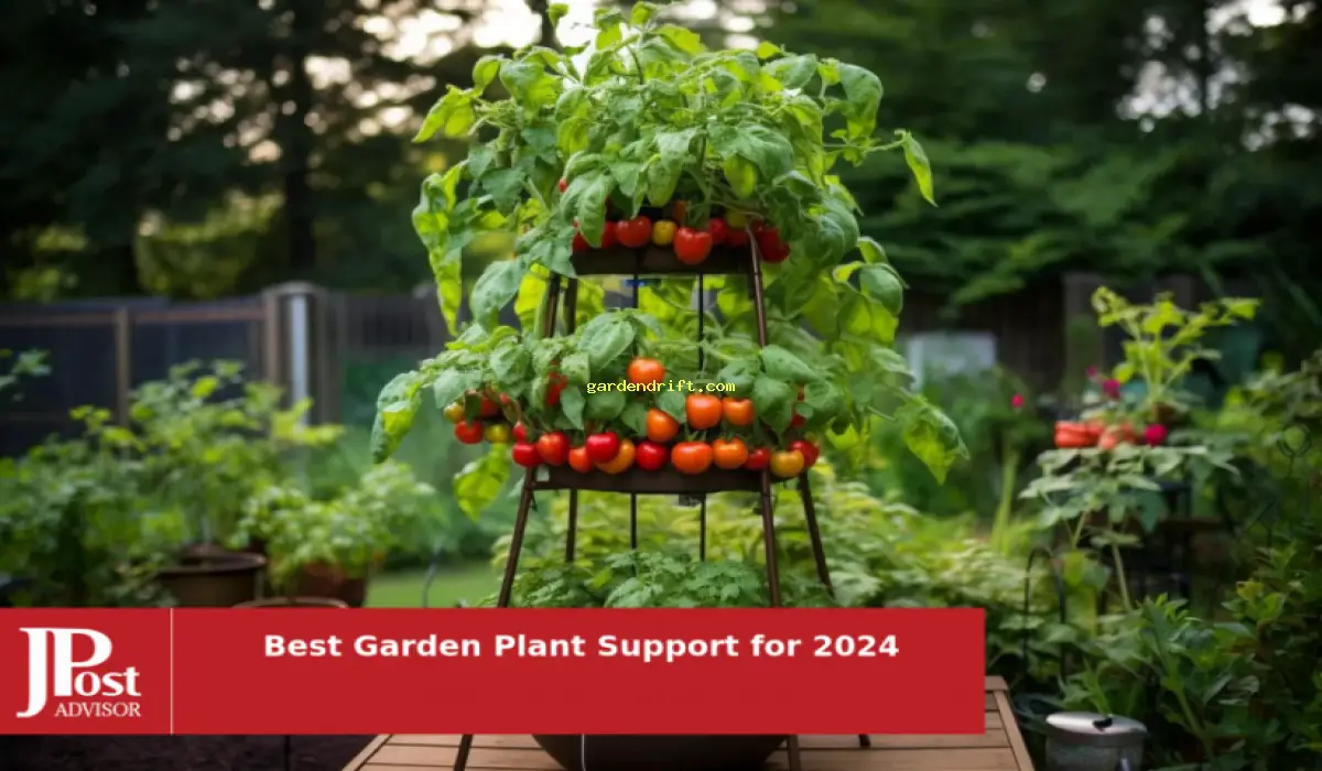 5 Easy Steps to Start Your Dream Tomato Garden in 2024 as a Wife!