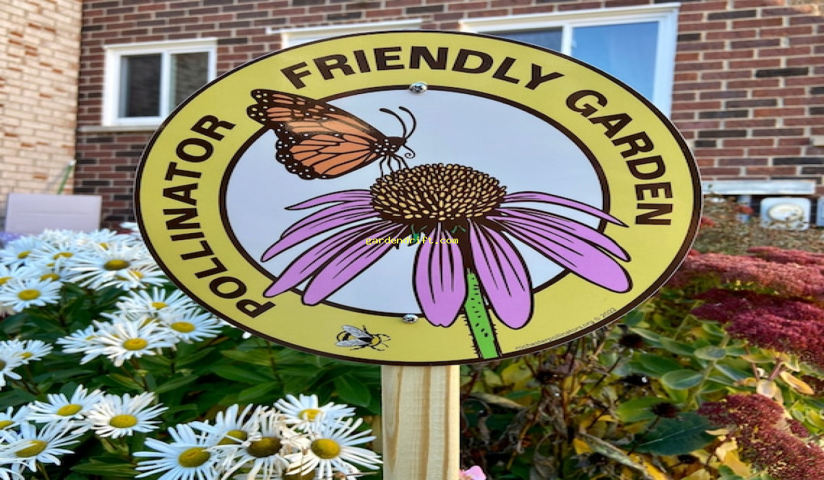 5 Tips for a Buzzworthy Butterfly and Bee-Friendly Garden