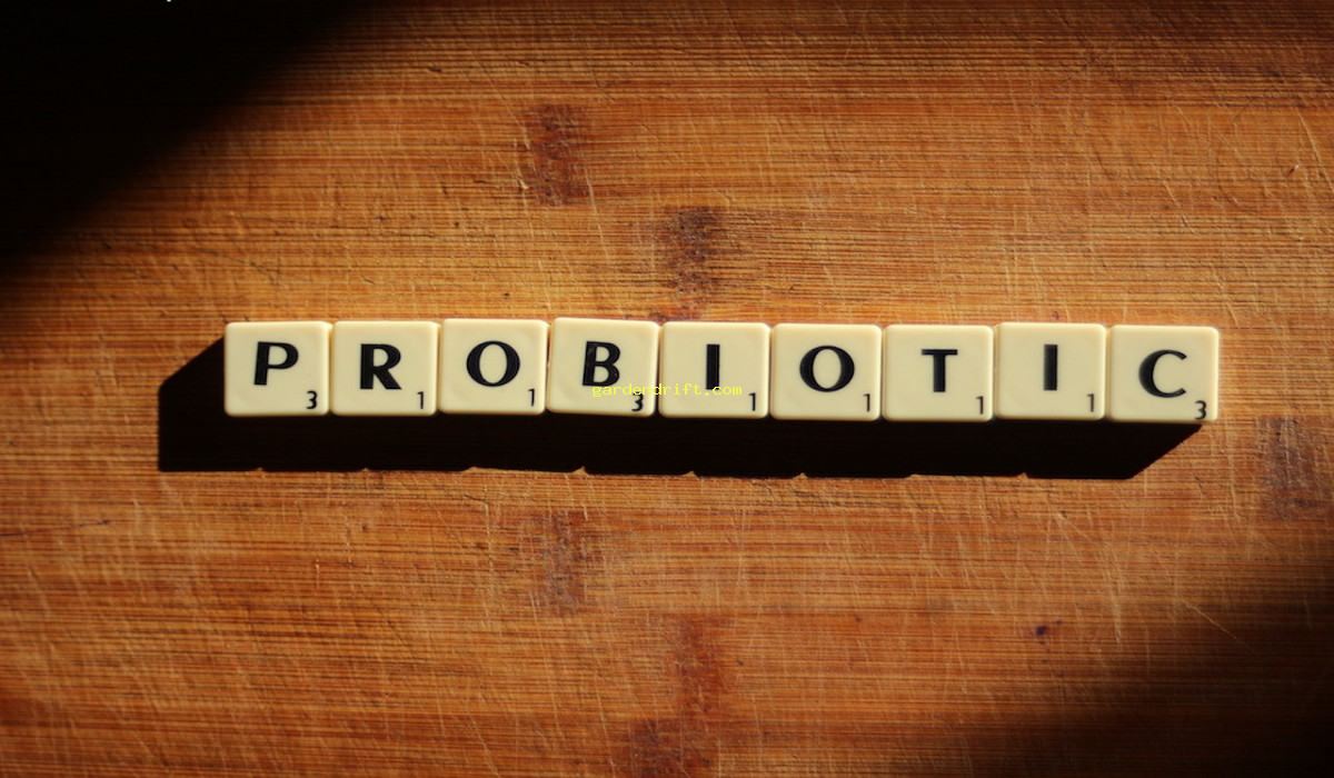 5 Ways Probiotics Wrecked My Life: The Shocking Truth Revealed