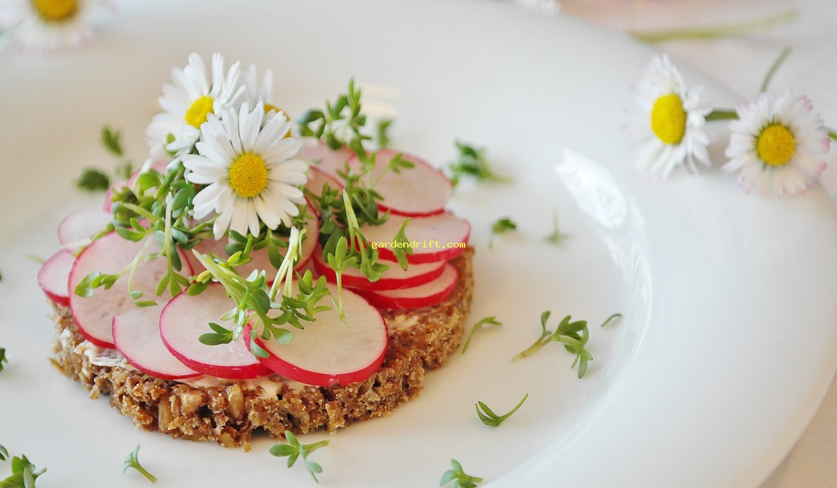 5 Reasons Garden Radishes Are a Must-Grow for Flavorful Salads!