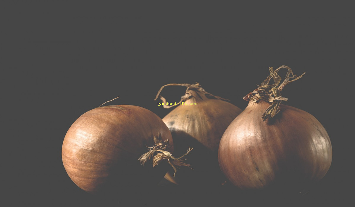 Boost Your Garden's Bounty: 5 Must-Try Companion Planting Strategies for Onions
