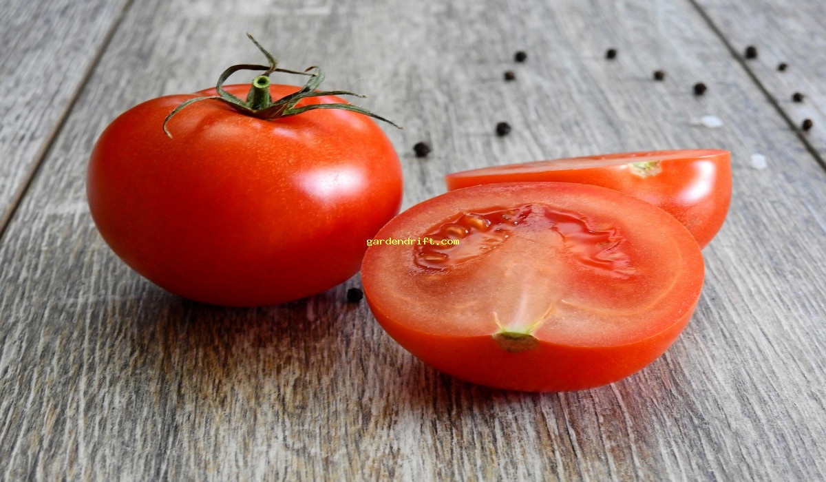 Discover the Top Tips for a Successful Tomato Planting Season - Start Growing Now!