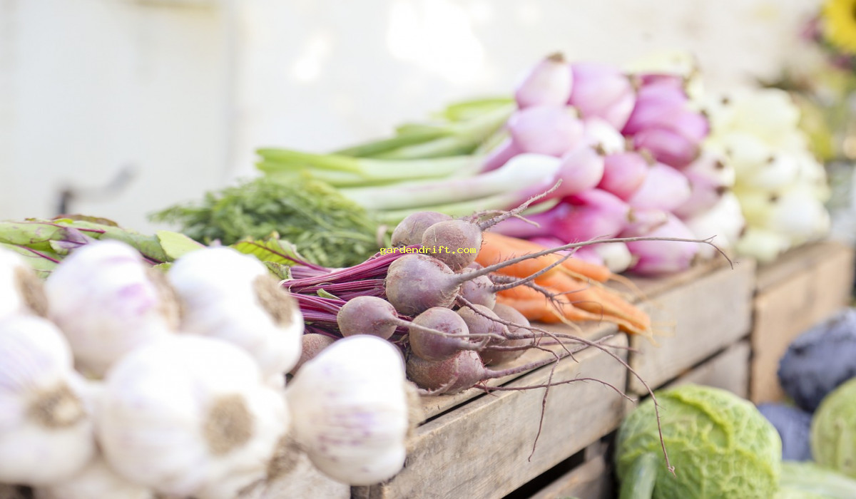 Gearing Up for a Bountiful Harvest: Top 10 Veggies to Plant Now!