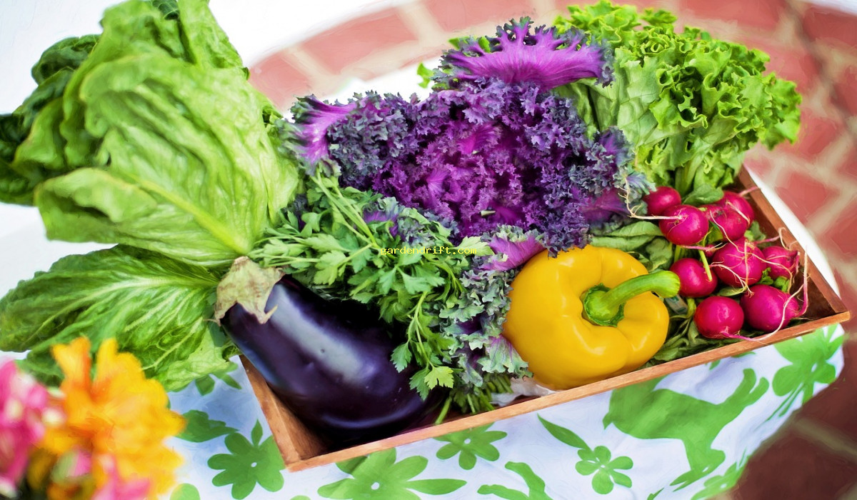 Easily Grow Your Own Veggies: 5 Simple Options for Beginners!