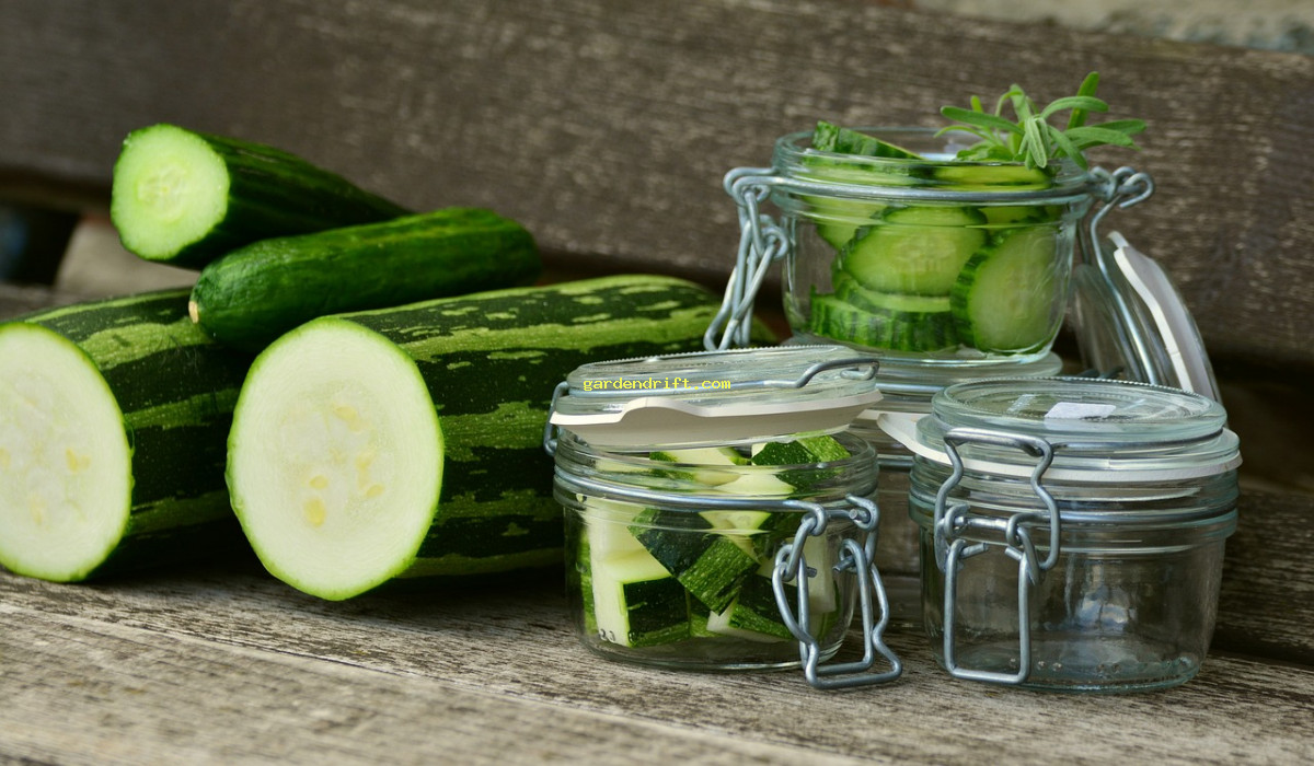 5 Ways to Maximize Your Zucchini Garden for a Bountiful Harvest