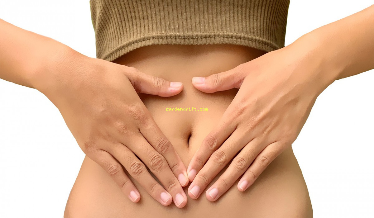 Revitalize Your Gut Health: 5 Tips for Starting Probiotic Renew Life in 2024