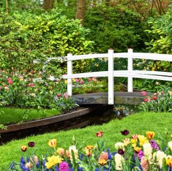 " the Art of Creating a Stunning Park View Garden in 5 Easy Steps