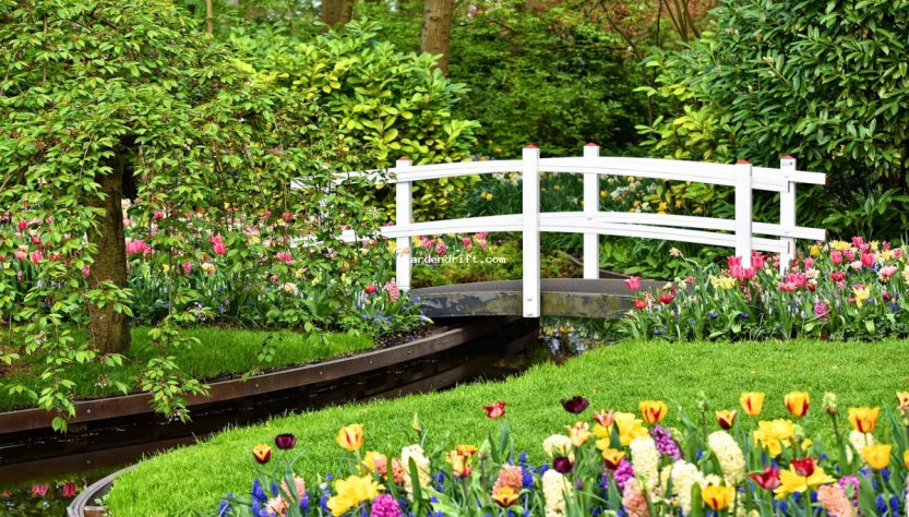 " the Art of Creating a Stunning Park View Garden in 5 Easy Steps