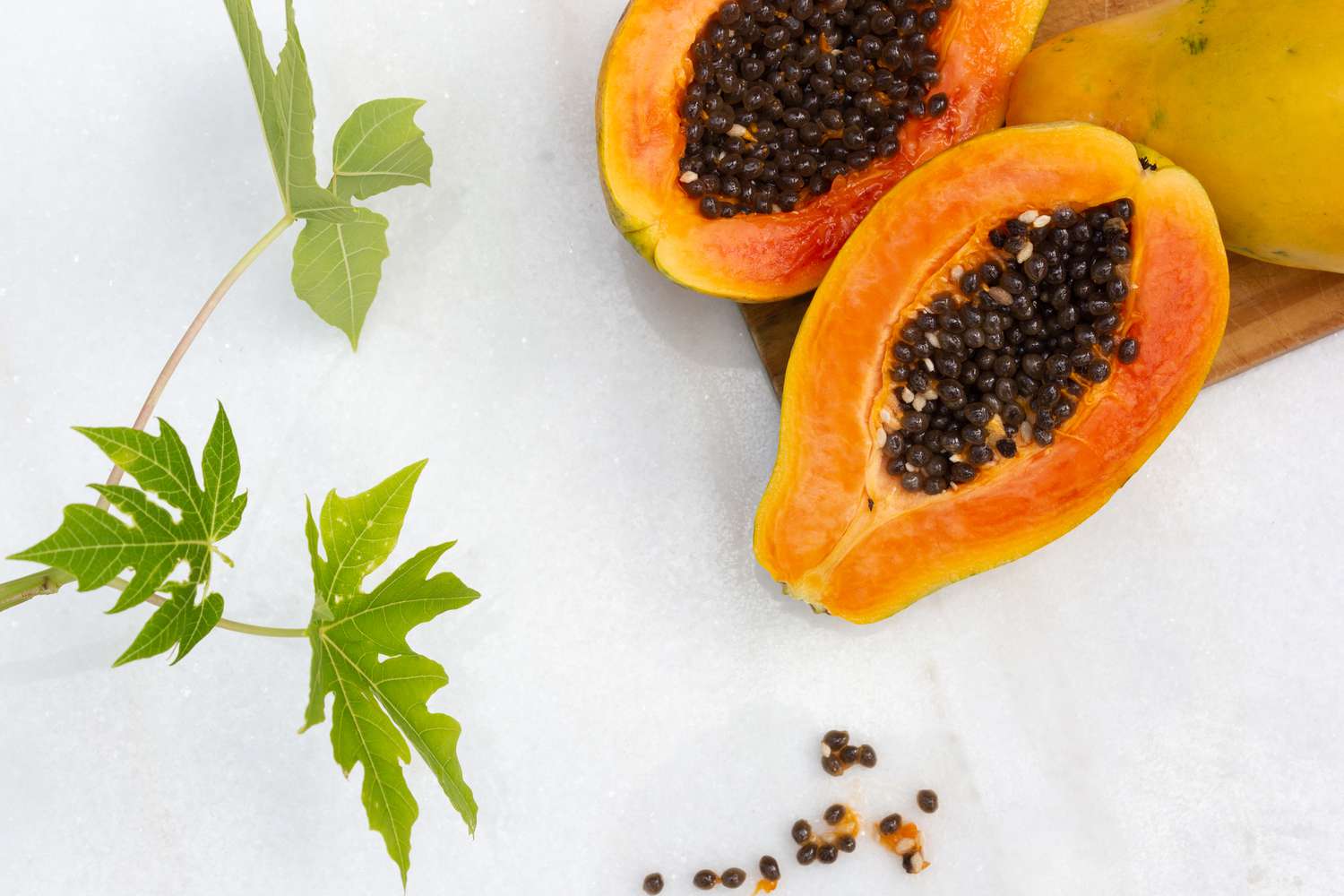 How to Care for Your Papaya Seedling: 5 Easy Tips