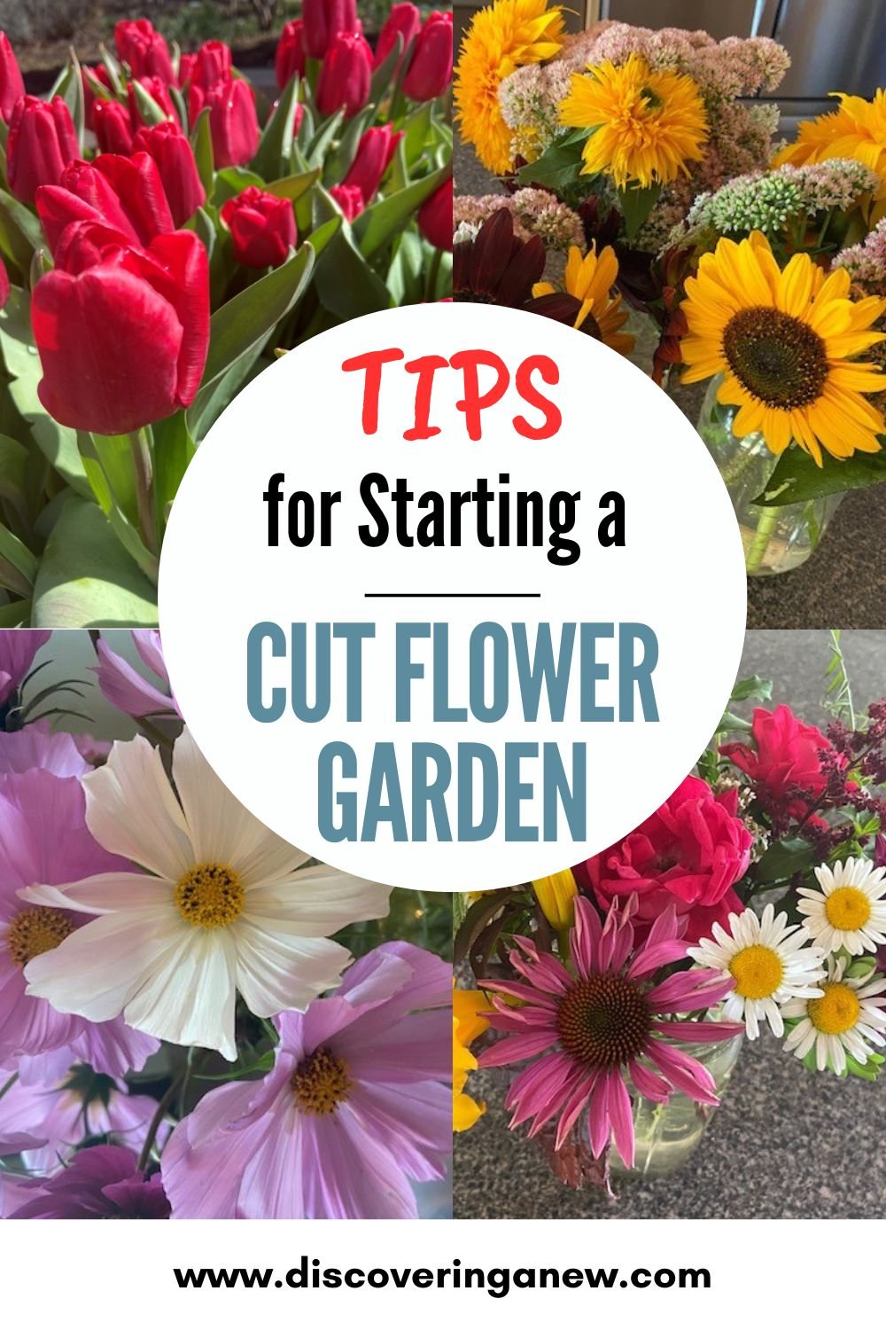 Create a Stunning Cut Flower Garden with Your Own Blooms