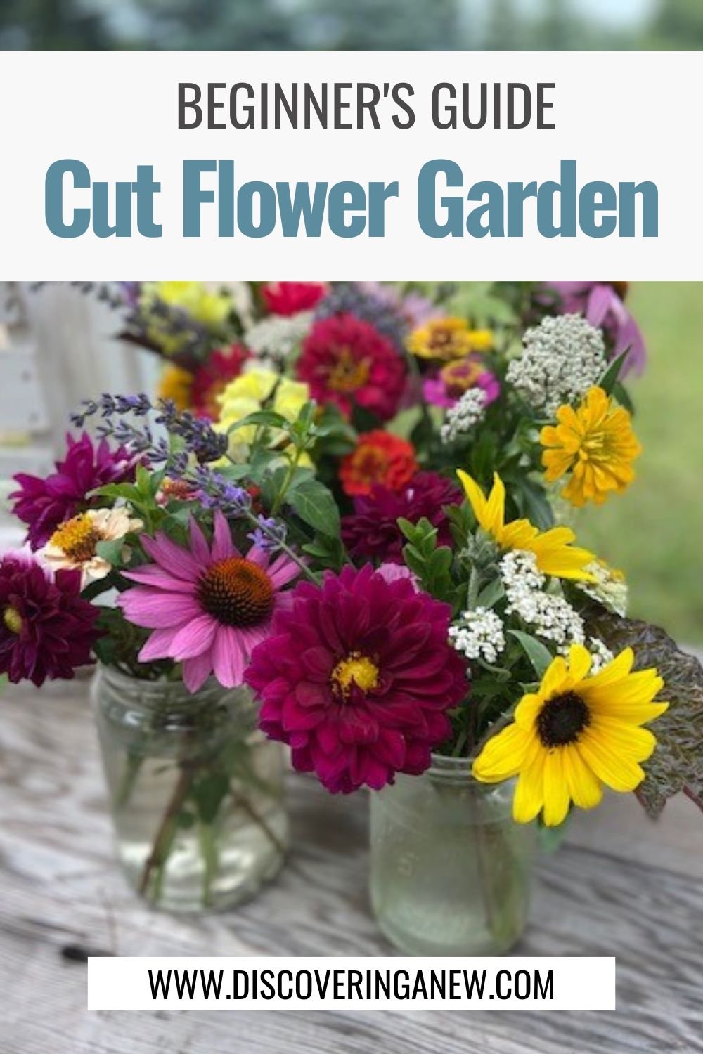 Enhancing Your Cut Flower Garden: The Benefits of Pinching Annuals