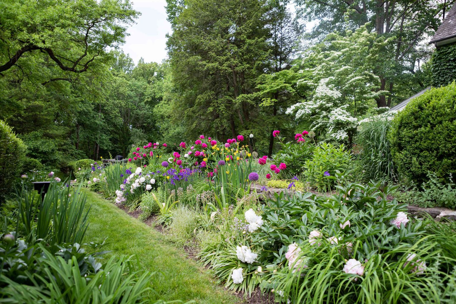 Designing the Perfect Layout for your Gorgeous Cut Flower Garden