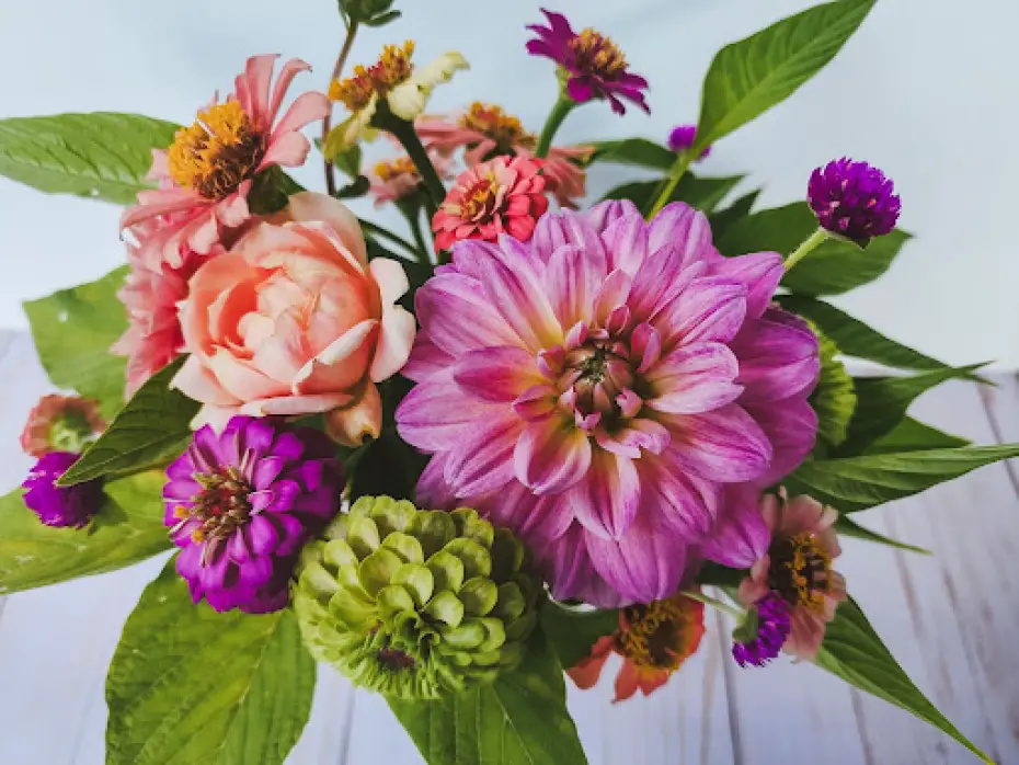 Expert Tips for a Successful Cut Flower Garden